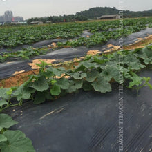 25m 0.6~2m Thick 0.01mm Agriculture Black Film Vegetable Planting Plastic Mulching Film Plants Weed Control Keep Warm Grow Film