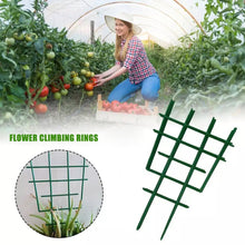 Climbing Plant Support Cage Garden Trellis Flowers Stand Rings Tomato Support Durable Creative Climbing Vine Rack Tomato Cage